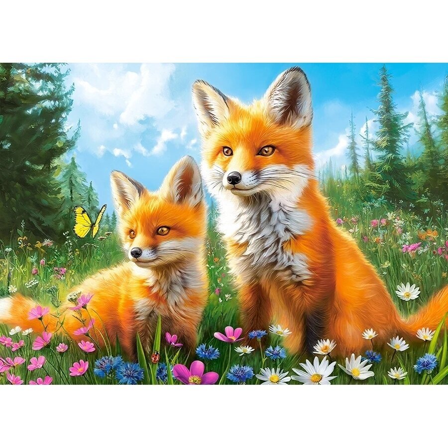 Castorland dėlionė Foxes In The Morning 260 det 1 Castorland dėlionė Foxes In The Morning 260 det 1
