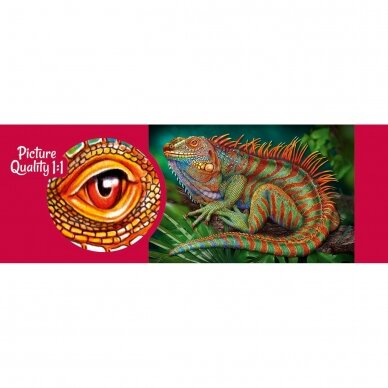 CherryPazzi dėlionė Incredible Iguana 500 det 2 CherryPazzi dėlionė Incredible Iguana 500 det 2