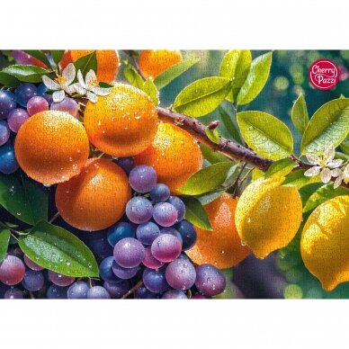 CherryPazzi dėlionė Sunny Fruits 1000 det  6