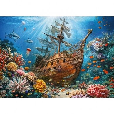 CherryPazzi dėlionė Sunken Treasure 1000 det 1