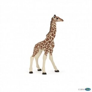 Figūrėlė Žirafa jauniklis PAPO 14 cm