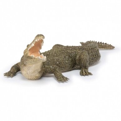 PAPO Figūrėlė Nilo krokodilas 22 cm