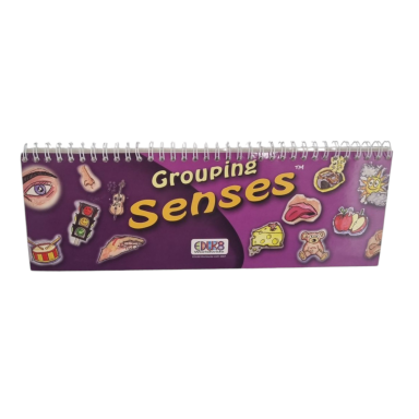 Lavinamoji knygutė Grouping Seasans/Senses