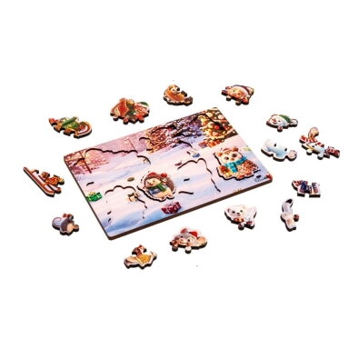 PUZZLEOK dėlionės su išimamomis detalėmis 20 det