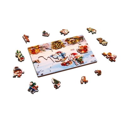 PUZZLEOK dėlionės su išimamomis detalėmis 22 det