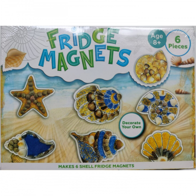 Shells kūrybos rinkinys šaldytuvo magnetai Shells kūrybos rinkinys šaldytuvo magnetai